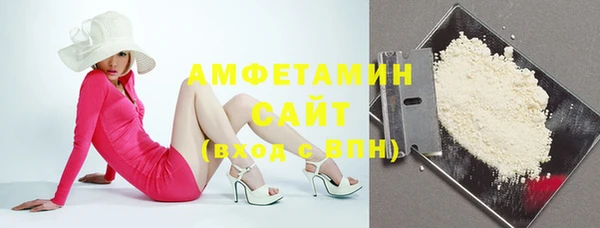 гашик Верея