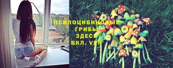 спайс Волоколамск